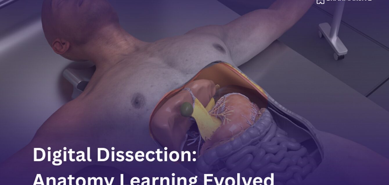 Digital Dissection